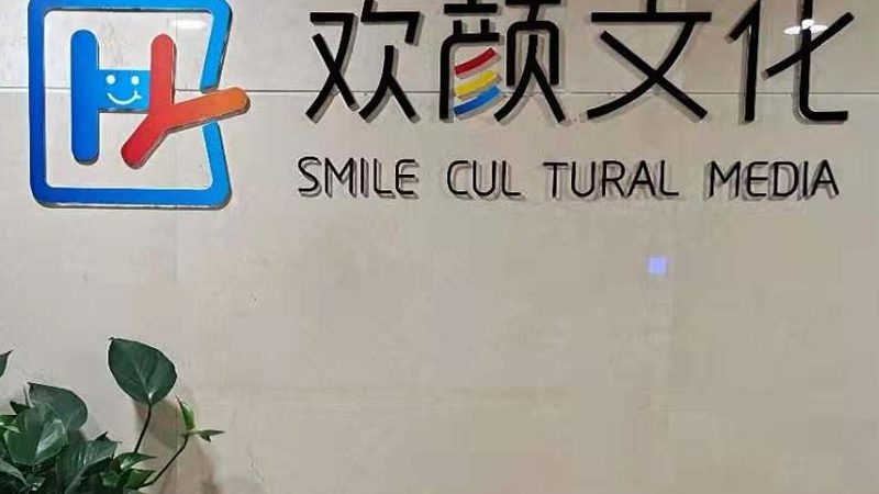 品牌策划全案报价，揭秘行业定价之谜