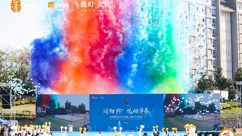 品牌设计合同规范：保障合作共赢的基石
